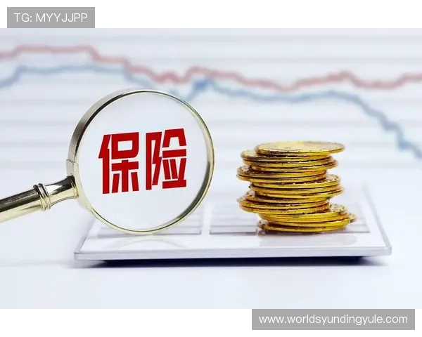 云顶国际体育平台合法合规运营背景分析，保障用户权益的法律保障措施